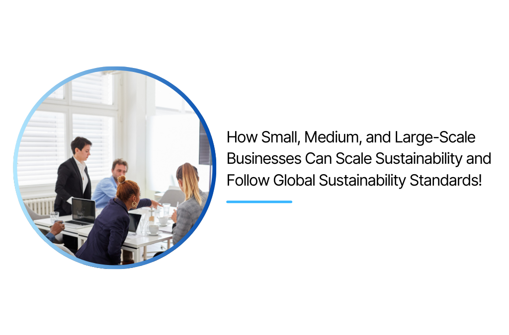 How Small, Medium, and Large-Scale Businesses Can Scale Sustainability and Follow Global Sustainability Standards!